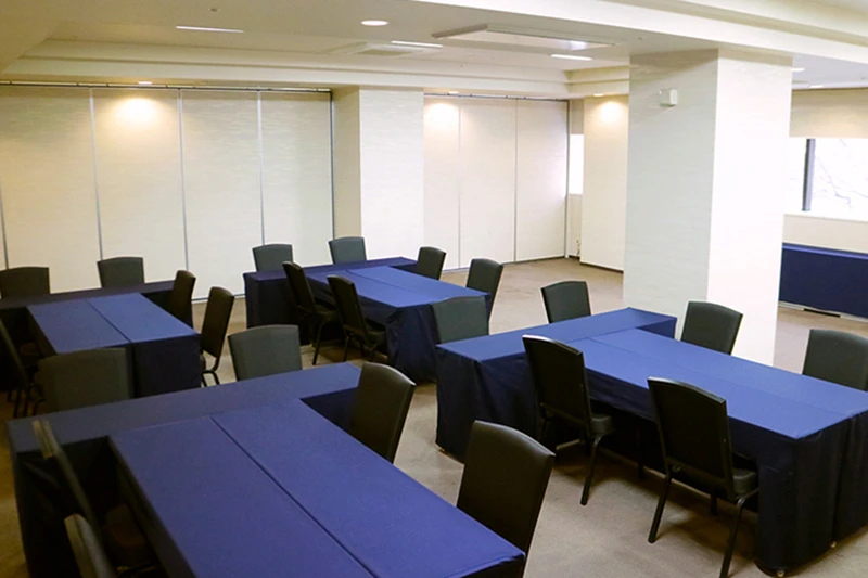 TKPガーデンシティアパホテル札幌大通駅前南 サファイヤ