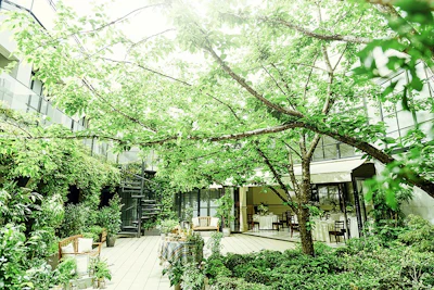 CIRQ（シルク）六本木 宴会場