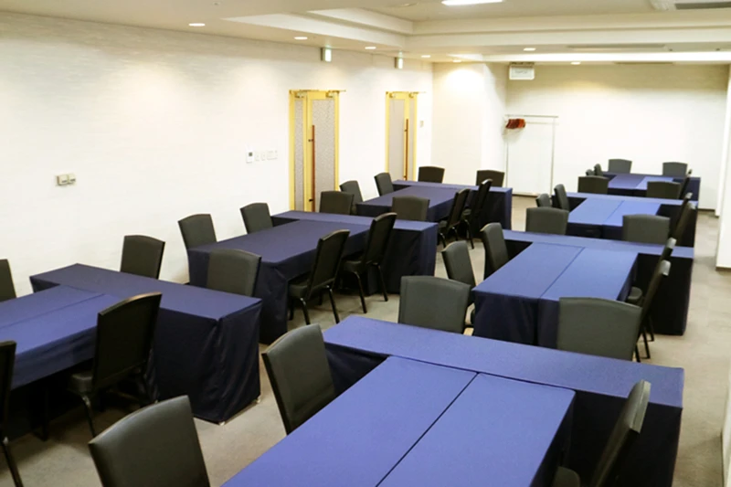 TKPガーデンシティアパホテル札幌大通駅前南 サファイヤ(全スパン)