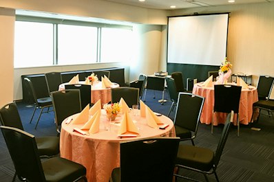 花火大会鑑賞パーティー